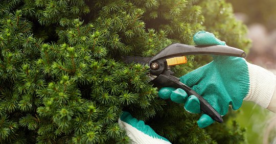 Cleaning business